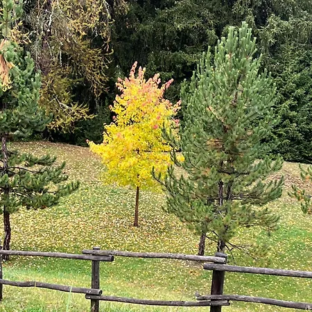 Appartamento Casa Bianchina